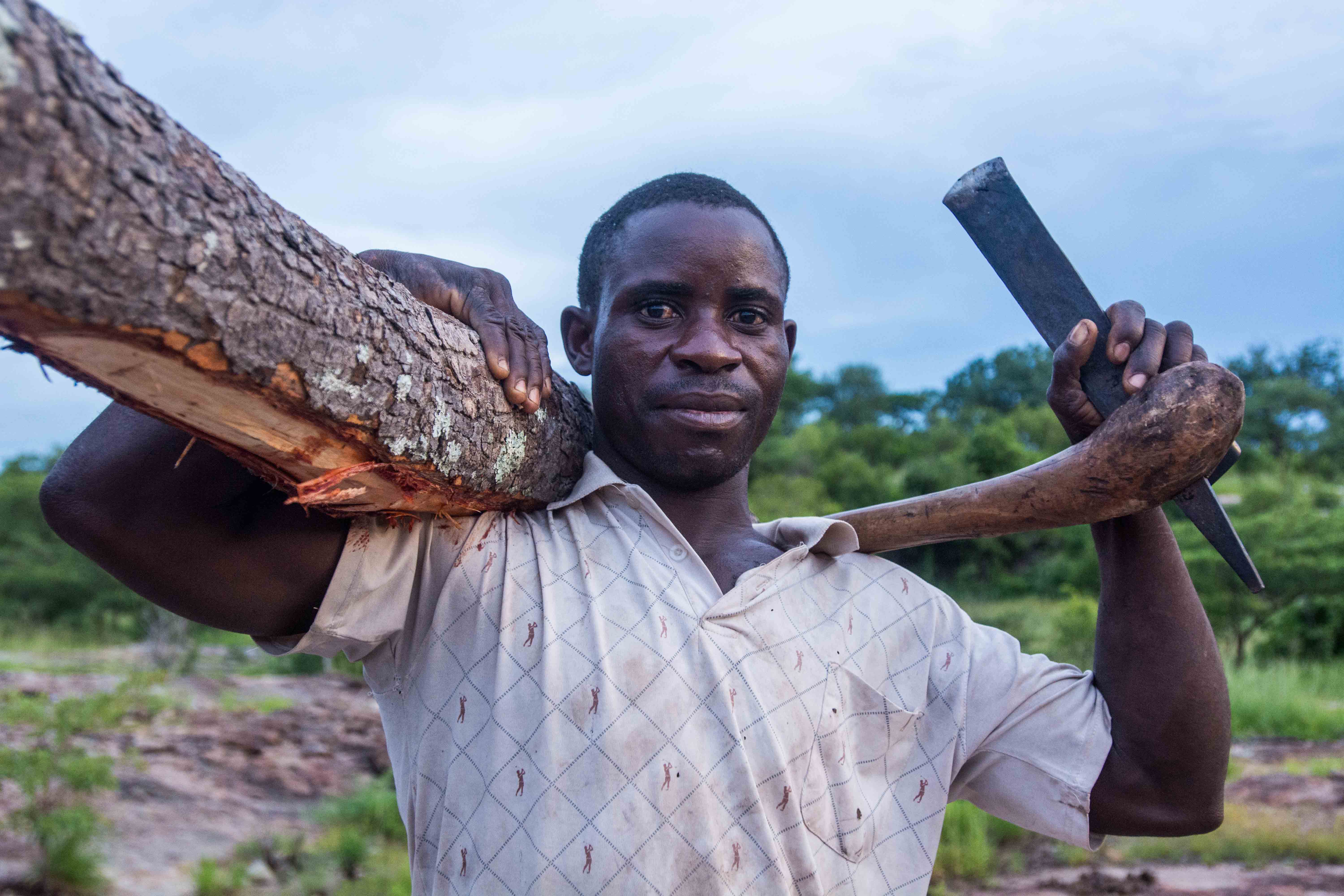 Man carrying a felled log