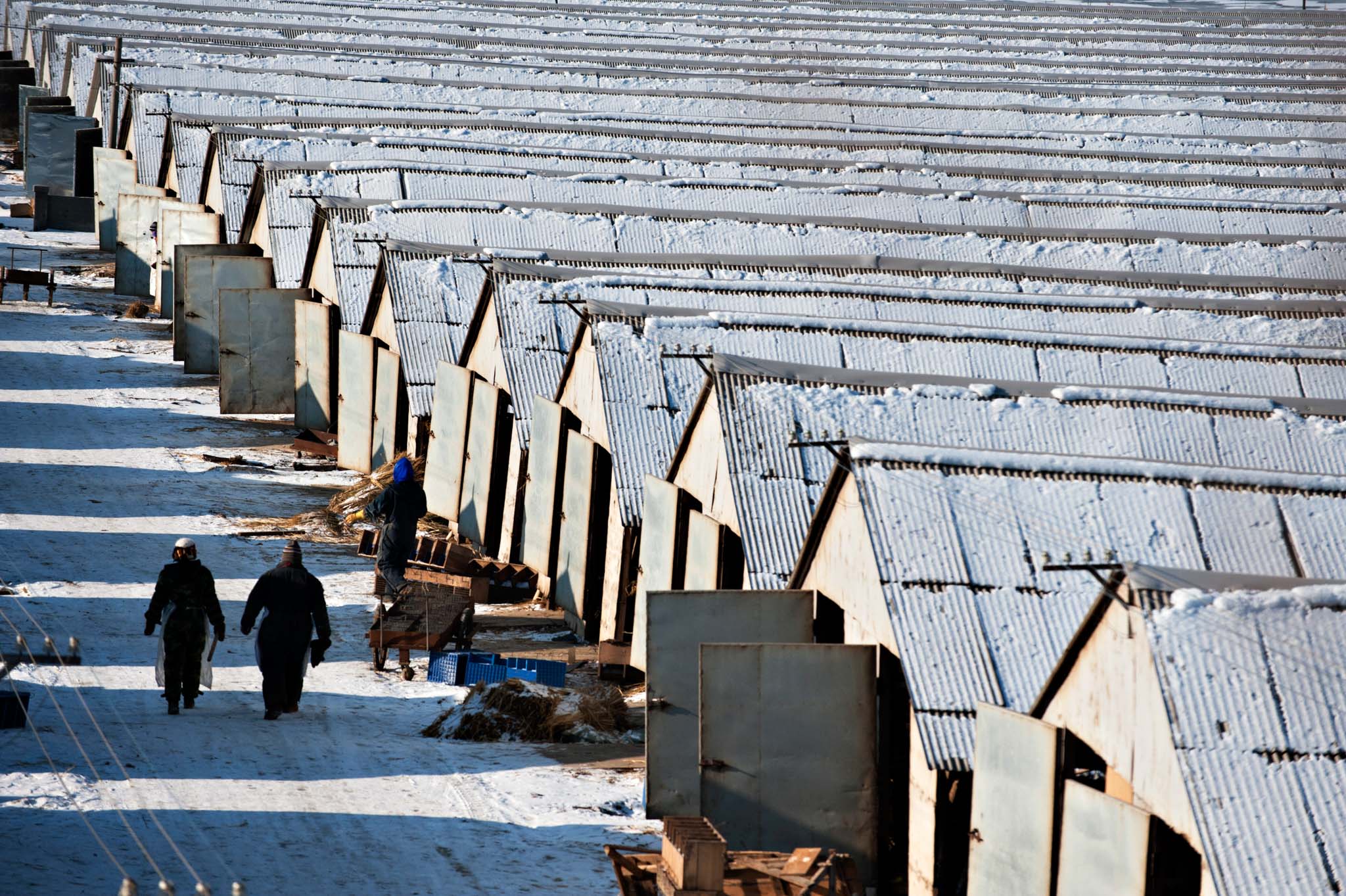 Gaotai Farm exterior, Harbin